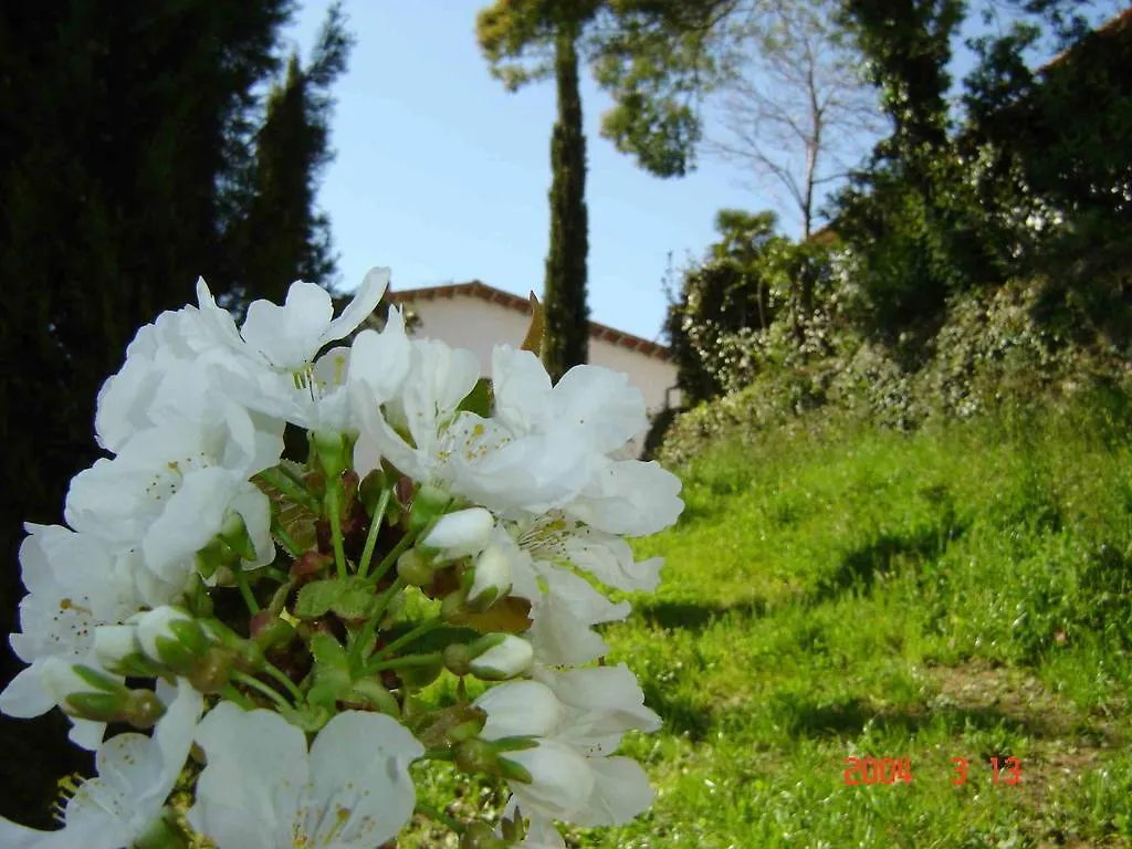 Podere