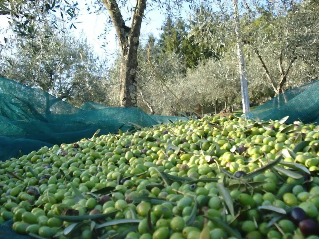 Guest house Podere